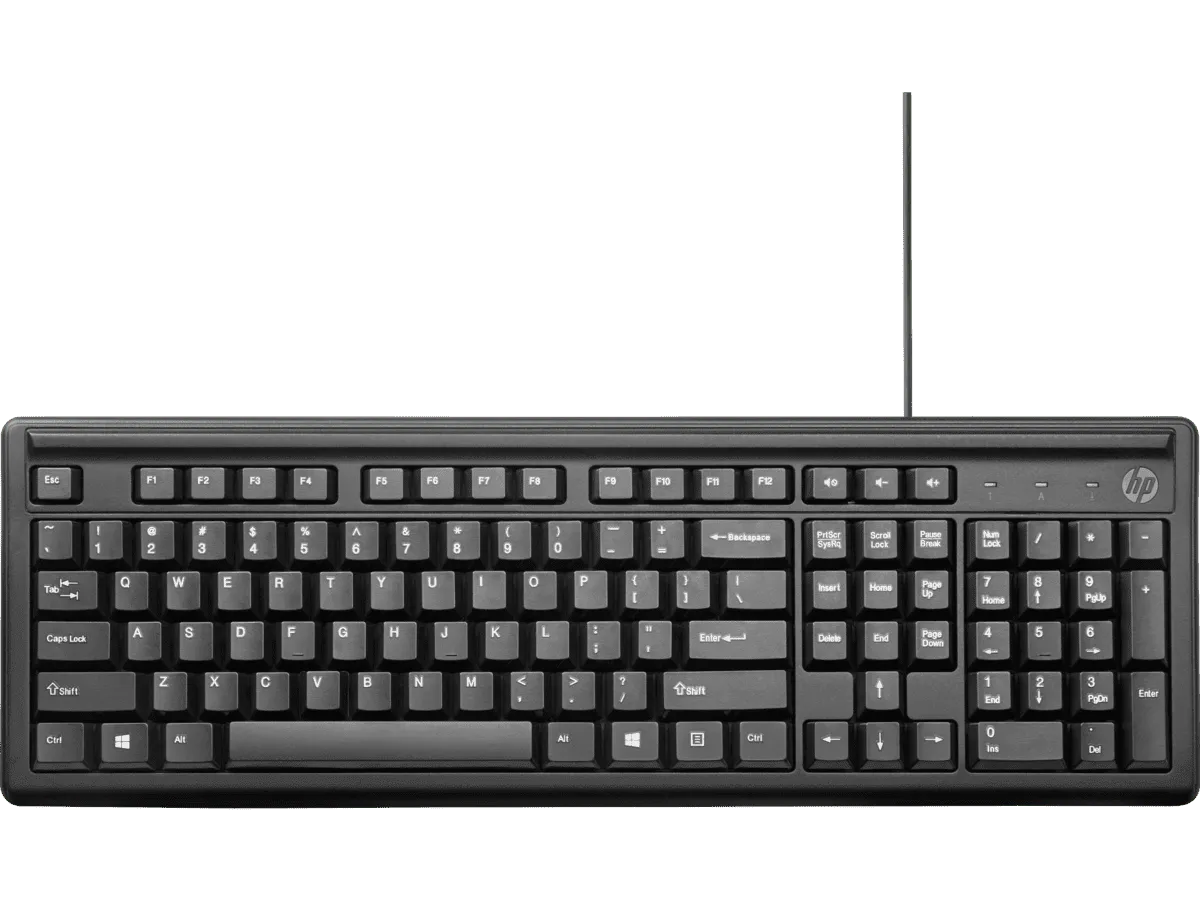 Teclado HP 100